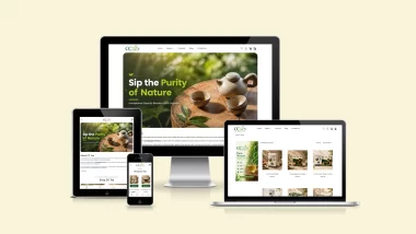 Case study of CCTEASTORE.COM by Mitrang Technologies for Phoenix Agronomy featuring logo design, WooCommerce ecommerce development, Razorpay integration, graphic design, SEO, and video advertisement production.